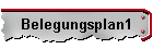Belegungsplan1